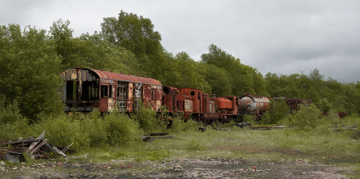 Abandoned and rusted train cars overgrown with vegetation in a desolate rail yard.