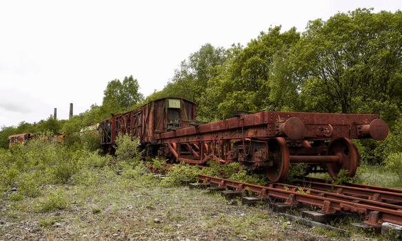 Rusted vintage steam locomotive and railway cars abandoned on overgrown tracks surrounded by dense green foliage.