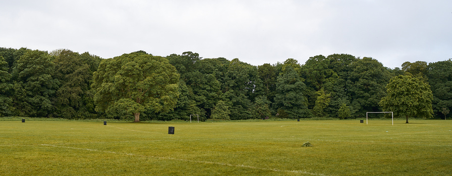 Open sports field with soccer goals and tree line under overcast sky.