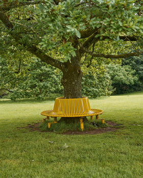 Yellow picnic table with attached benches positioned beneath a large mature oak tree on a grassy lawn.