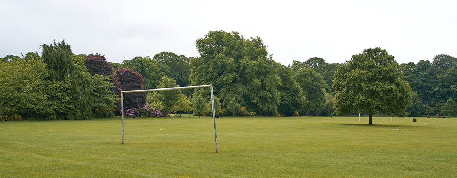 Soccer goal on an expansive grass field with dense trees lining the background.
