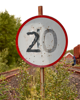 A weathered circular speed limit sign displaying 20 with a red border, mounted on a wooden pole among overgrown vegetation.