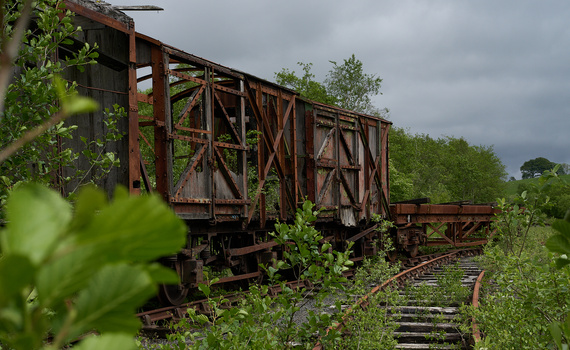 Abandoned rusted railway cargo cars overgrown with vegetation on an overgrown track.