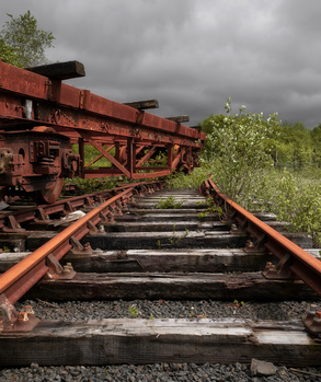Abandoned railway tracks with rusted cargo cars overgrown with vegetation under stormy skies.
