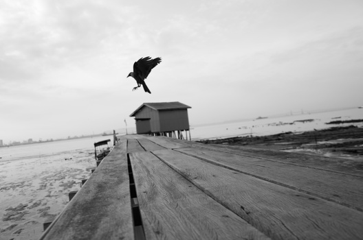Person mid-jump on wooden pier extending into calm water under overcast sky.