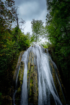 Narrow waterfall cascading down moss-covered rock face surrounded by dense forest canopy.