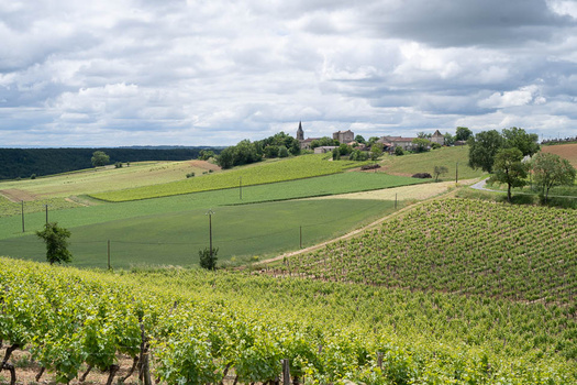 Rolling vineyard hillside in foreground with cultivated green fields and distant village with church spire under cloudy sky.