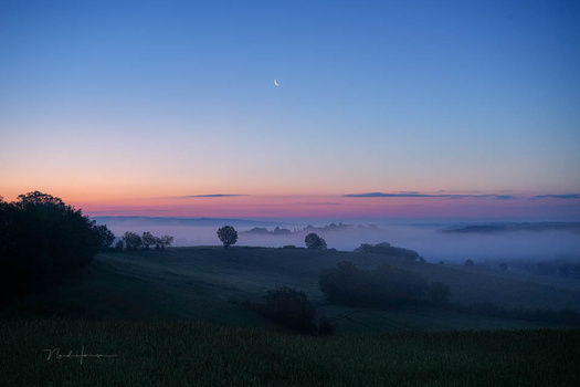 Misty valley landscape at dawn with scattered trees silhouetted against purple and orange sky.