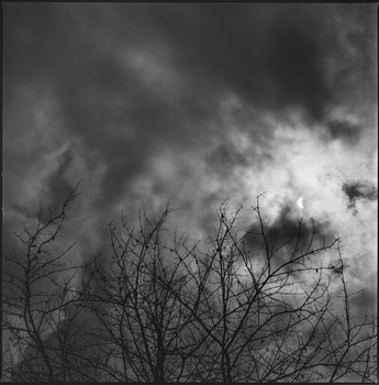 Bare tree branches silhouetted against a dramatic, roiling dark sky with storm clouds.