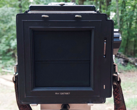 Large format camera back with ground glass viewing screen mounted on tripod outdoors.