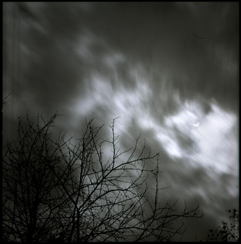 Bare tree branches silhouetted against dramatic, roiling storm clouds in monochrome.