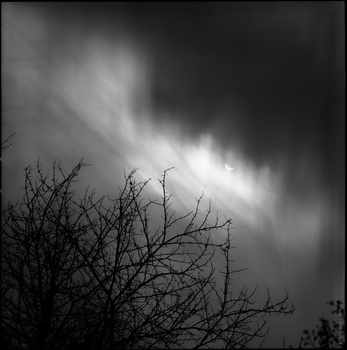 Bare tree branches silhouetted against dramatic storm clouds with breaks of light.