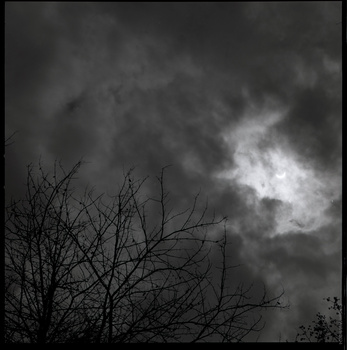 Bare tree branches silhouetted against a dramatic stormy sky with breaks of light.