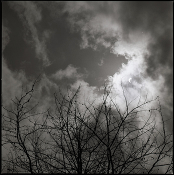 Bare tree branches silhouetted against dramatic storm clouds with bright sky breaking through.