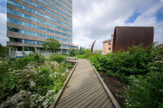 Wooden boardwalk extending through a lush rooftop garden between modern buildings.