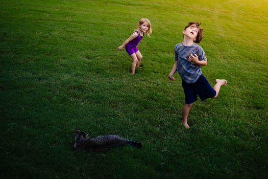 Two children running across a grassy lawn with a dog lying in the foreground.