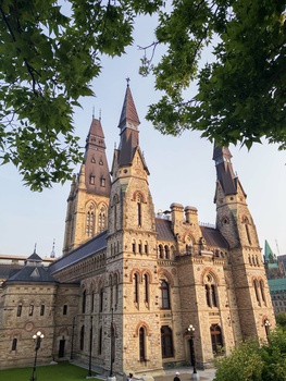 Gothic Revival stone castle with multiple spires framed by overhanging tree branches against a clear sky.