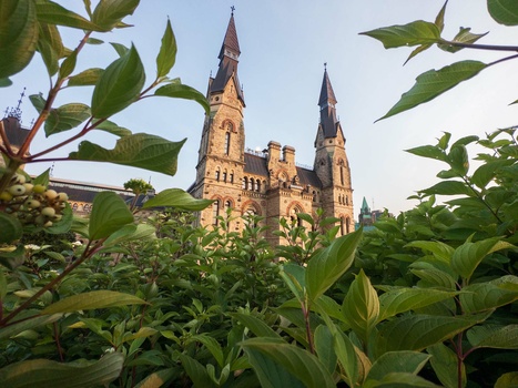Ornate stone castle with twin spires framed by green foliage in foreground.