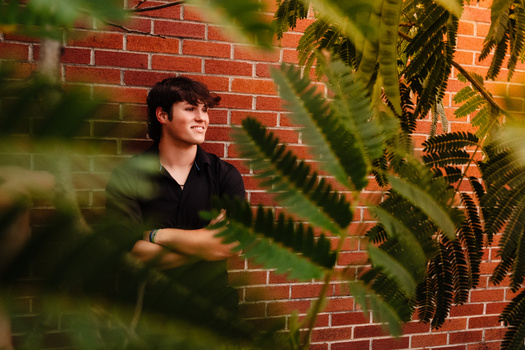 Person in black shirt leaning against red brick wall, partially obscured by fern fronds in foreground.