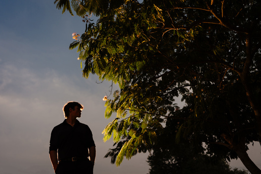Man in dark clothing standing beneath a tree with golden-lit foliage against a twilight sky.