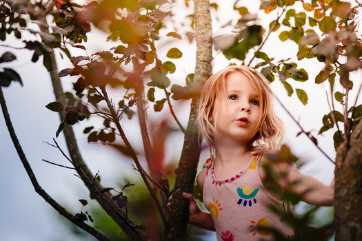 Young child with blonde hair gazing upward among autumn foliage and tree branches.