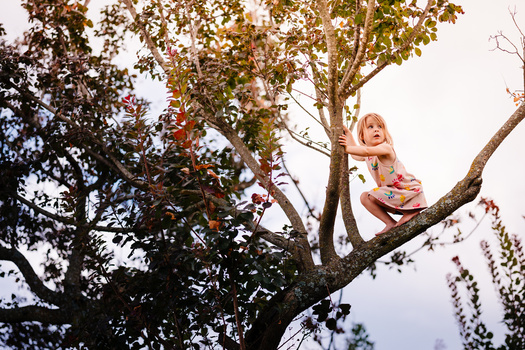 Young child with blonde hair perched on a tree branch wearing colorful clothing against an overcast sky.