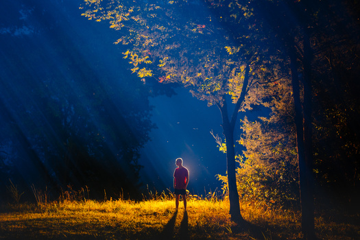 Solitary figure in red jacket standing in golden-lit clearing surrounded by dark forest at twilight.