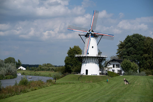 Traditional Dutch windmill with white tower and blue sails beside a grass field and waterway.