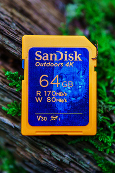 SanDisk Outdoors 4K 64GB SD memory card displayed on weathered wood with green moss.
