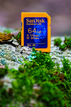 SanDisk Extreme 64GB SD memory card positioned on moss-covered rock with shallow depth of field.