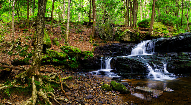 Multi-tiered waterfall cascading over dark rocks in a lush forest with moss-covered boulders and green canopy overhead.