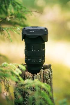 Telephoto zoom lens positioned on a moss-covered log surrounded by blurred green foliage.