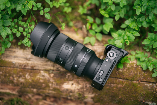 Mirrorless camera with telephoto lens mounted on a wooden log surrounded by green foliage.