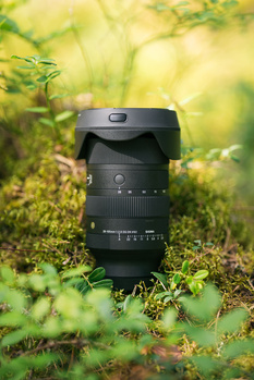 Telephoto zoom lens with lens hood resting on moss-covered ground surrounded by blurred green foliage.