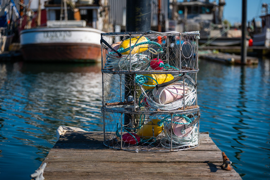 Wire mesh lobster trap filled with buoys sits on a wooden dock beside blue water and moored boats.