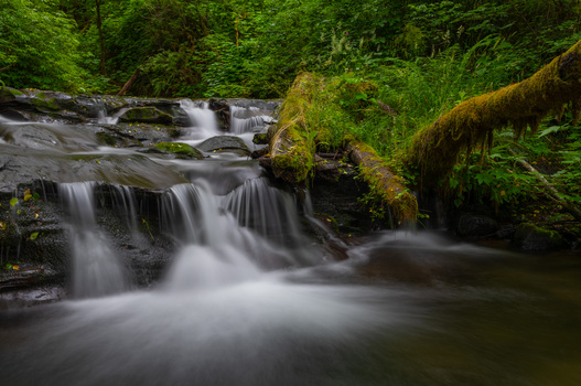 Cascading forest stream with moss-covered rocks and flowing water captured with long exposure.