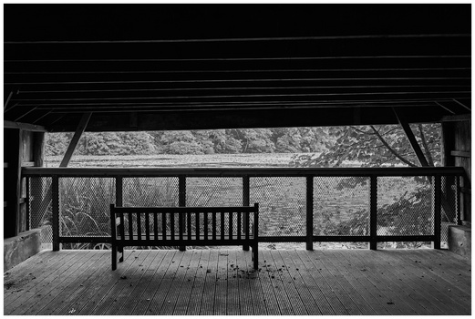 Wooden bench on a covered porch overlooking bare trees and forest in black and white.