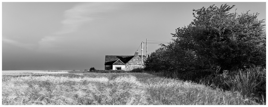 Abandoned farmhouse with grain silo in expansive wheat field under stormy sky.