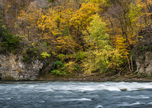 River with flowing water and whitecaps bordered by autumn foliage and limestone cliffs.