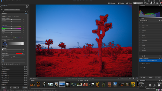 Screenshot of photo editing software displaying an infrared landscape with red desert vegetation and Joshua trees against blue sky.