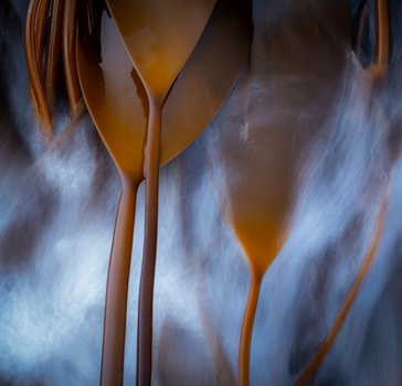 Abstract long-exposure photograph of hanging fabric or material with vertical streaks in orange and blue tones.