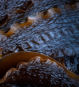 Aerial view of layered mineral deposits and water formations creating textured, rippling patterns in warm earth tones.