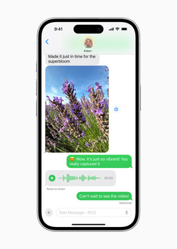 Screenshot of a messaging app conversation featuring a close-up photo of purple flowers in natural daylight.