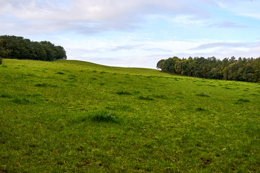 Rolling green hillside with scattered trees under partly cloudy sky.