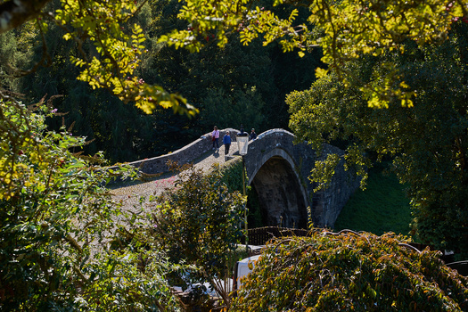 Stone arch bridge framed by yellow-green foliage and vegetation in natural daylight.