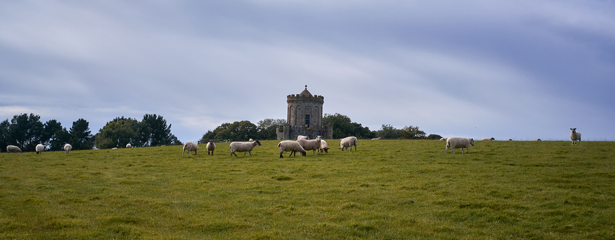 Stone tower rising above a pastoral hillside with grazing sheep scattered across green grass.