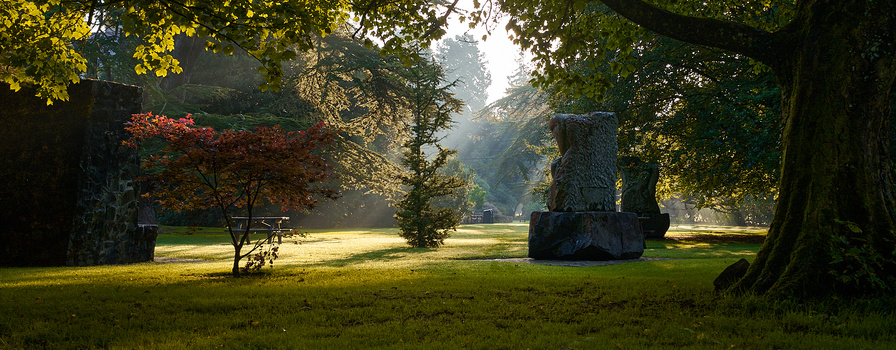 Sunlit park with massive trees framing a grassy clearing and red maple in middle distance.