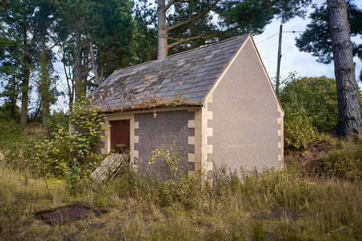 Abandoned stone cottage with slate roof surrounded by overgrown vegetation and tall trees.