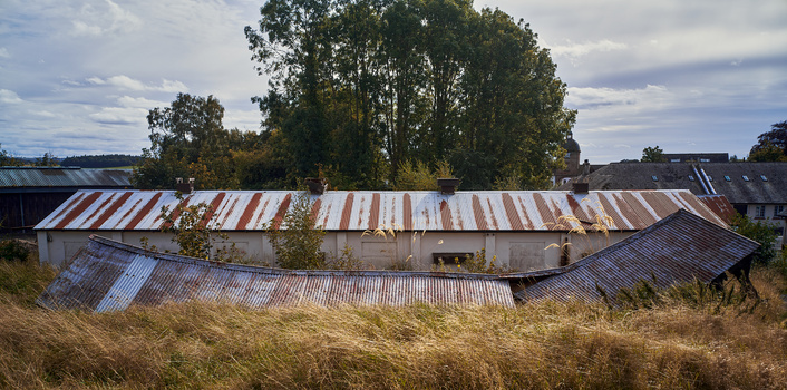 Weathered corrugated metal agricultural buildings with striped roofing partially obscured by overgrown grass and trees.