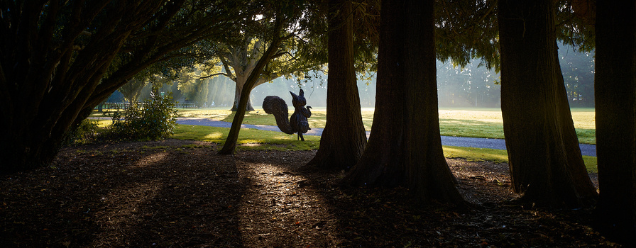 Person on a rope swing suspended between massive tree trunks overlooking a field with blue wildflowers.